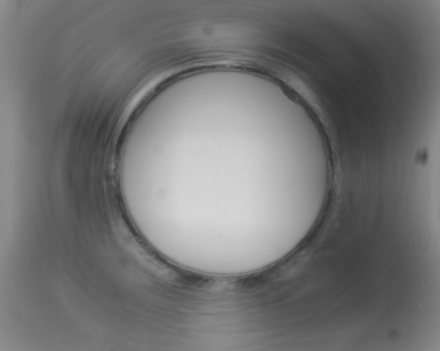 X0000113931283200909250907