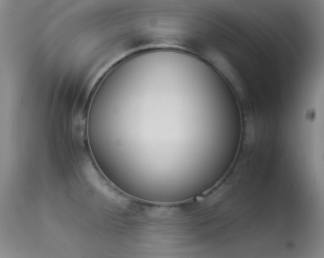 X0000113931284200909250907