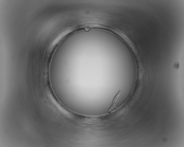 X0000113931285200909250907
