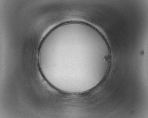 X0000113931287200909250907