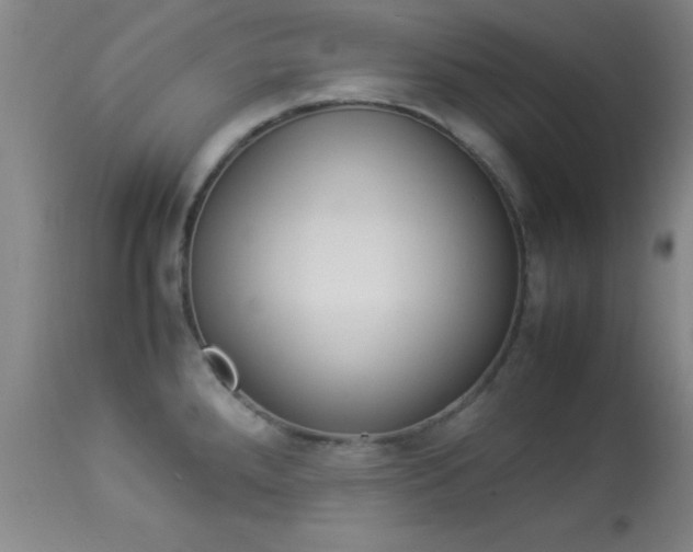X0000113931288200909250907