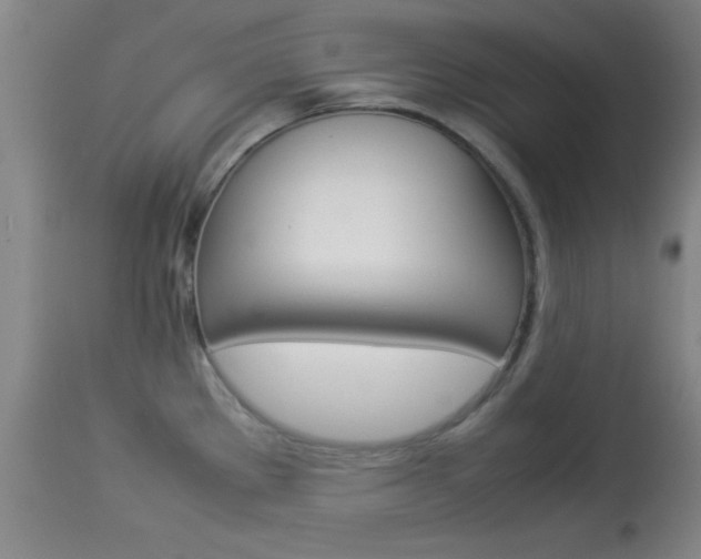 X0000113931289200909250907