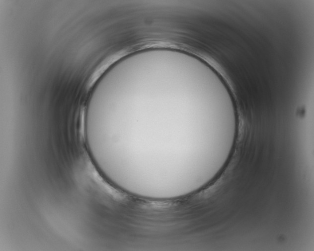 X0000113931290200909250907