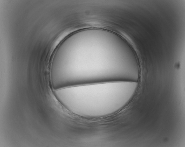 X0000113931291200909250907