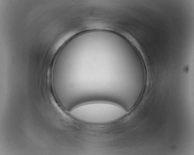 X0000113931293200909250907