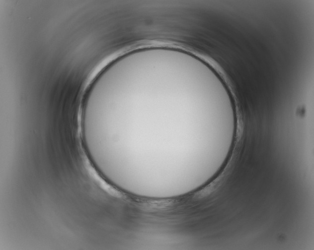 X0000113931294200909250907