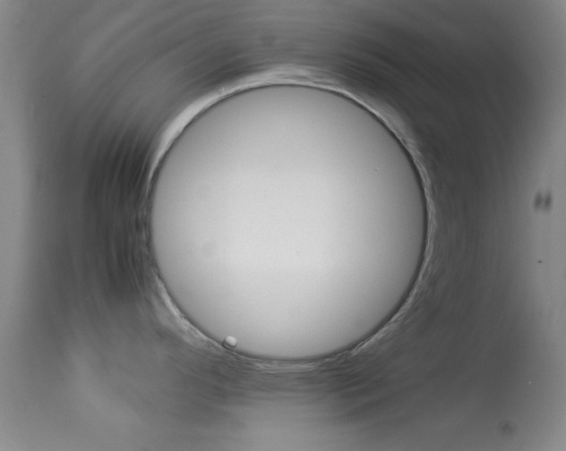 X0000113931296200909250907