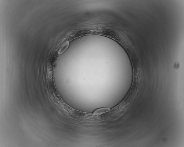 X0000113931298200909250906