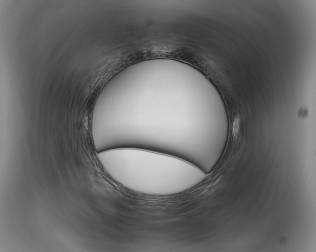 X0000113931299200909250906