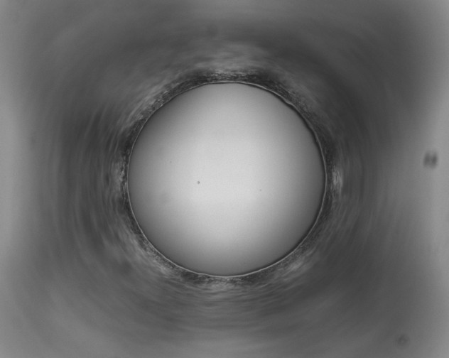 X0000113931300200909250906