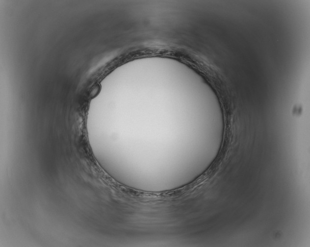 X0000113931302200909250906