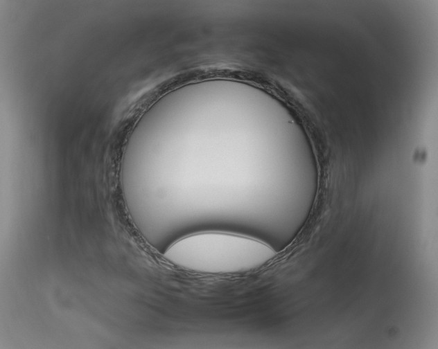 X0000113931303200909250906