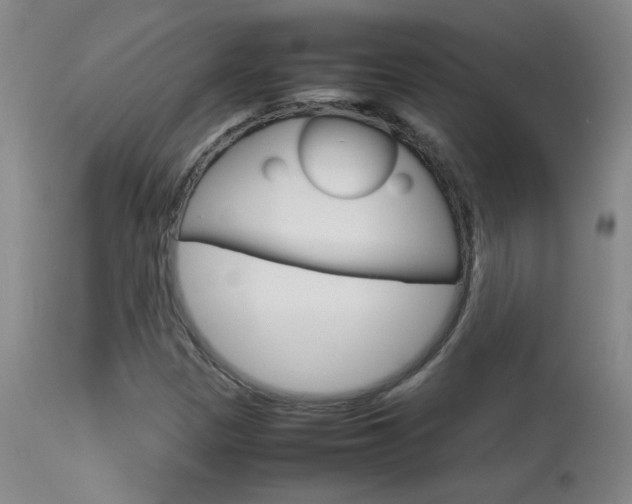 X0000113931305200909250906