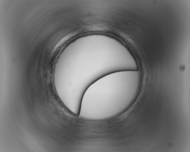 X0000113931306200909250906