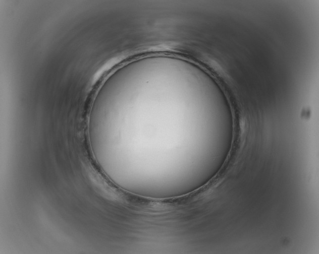X0000113931308200909250906