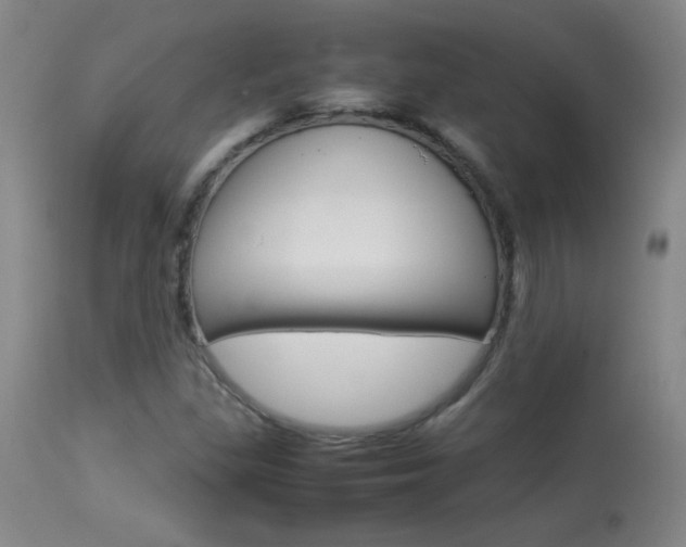 X0000113931309200909250906