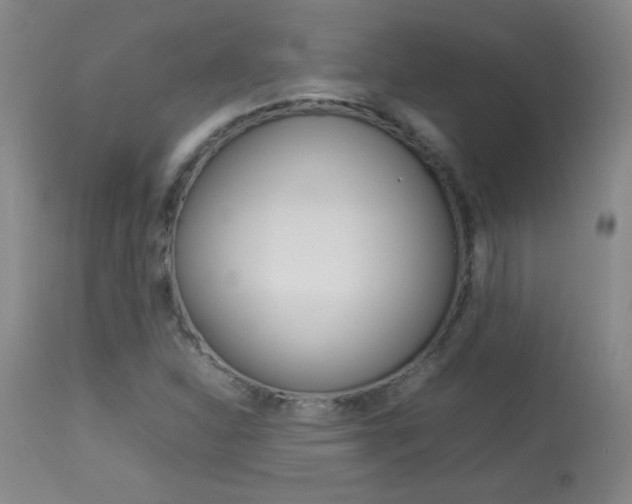 X0000113931310200909250906