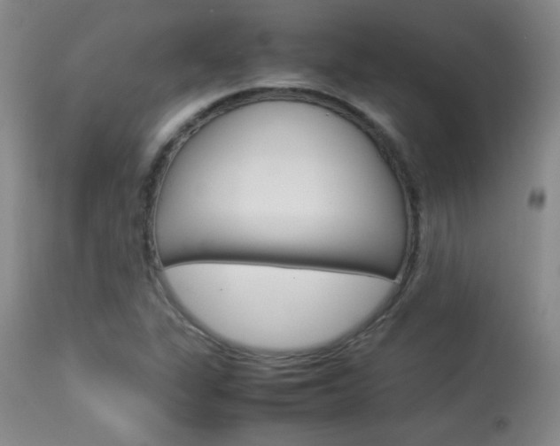 X0000113931311200909250906