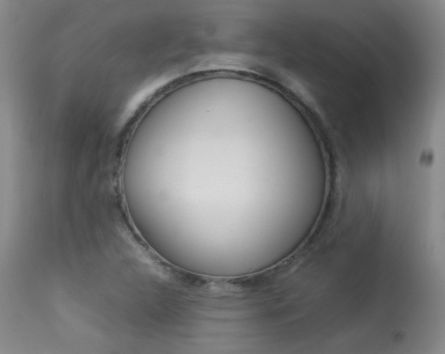 X0000113931312200909250906