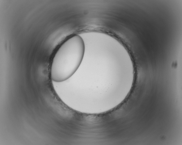 X0000113931314200909250906