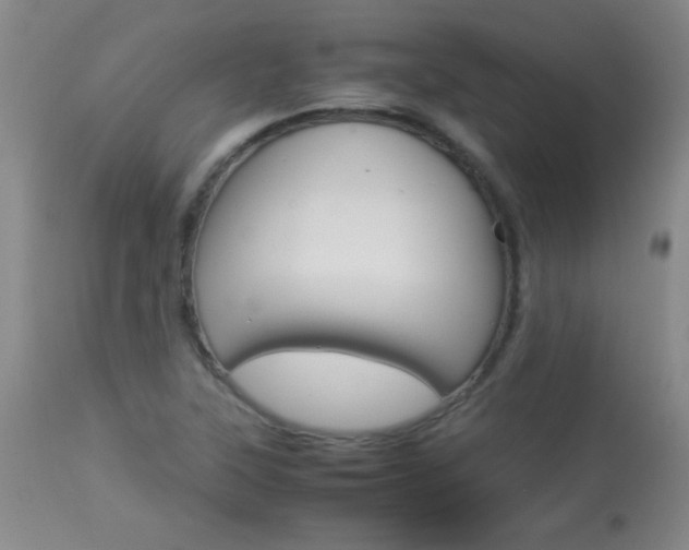 X0000113931315200909250906
