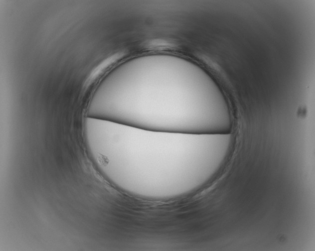 X0000113931317200909250906