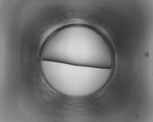X0000113931318200909250906