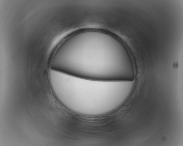X0000113931319200909250906