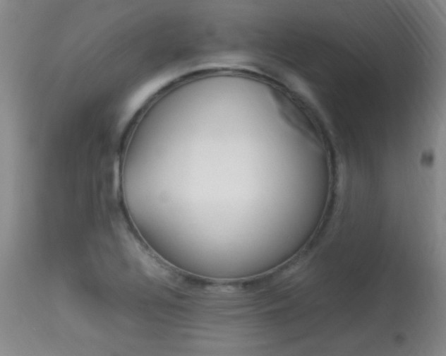 X0000113931320200909250906