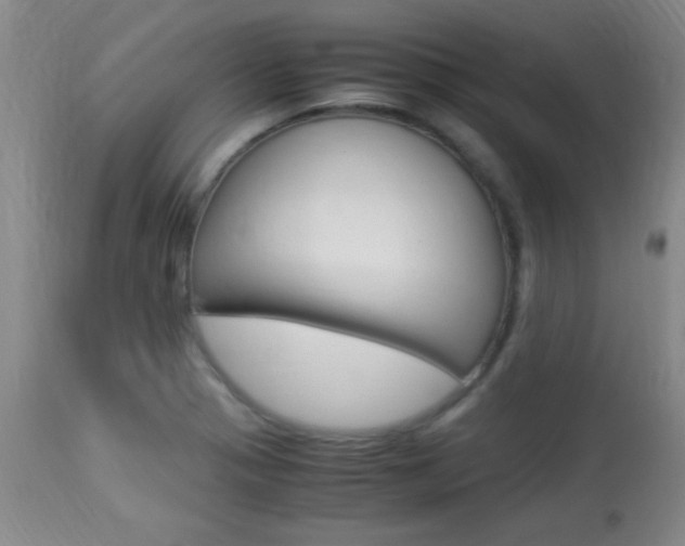 X0000113931321200909250906