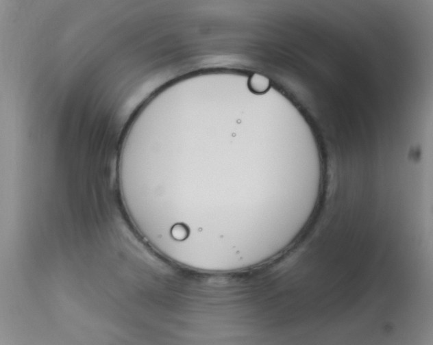 X0000113931322200909250906