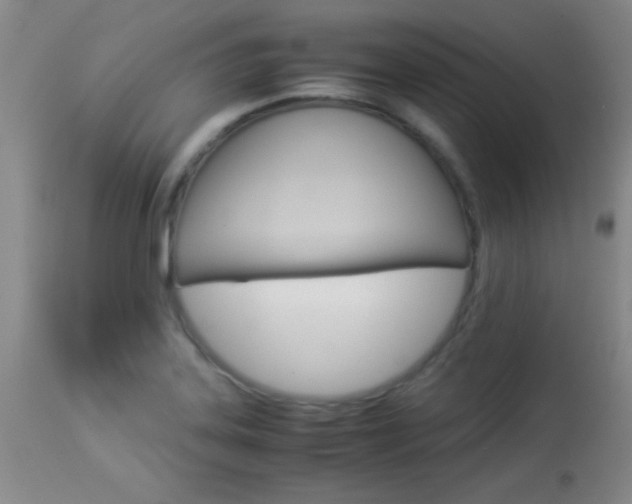 X0000113931323200909250906