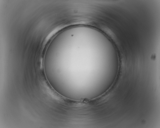 X0000113931324200909250906