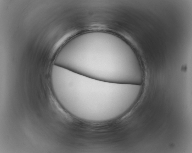 X0000113931325200909250906