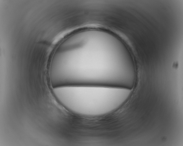X0000113931327200909250906