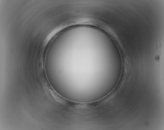 X0000113931328200909250906