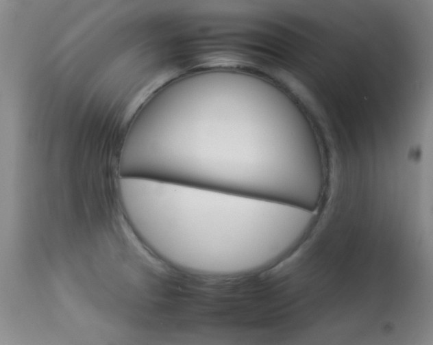 X0000113931329200909250906