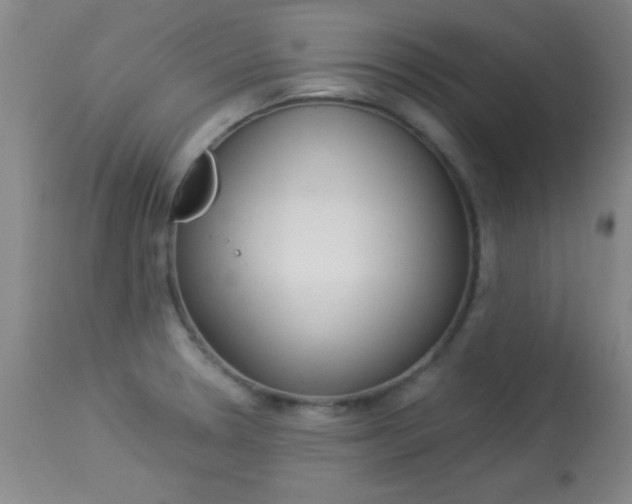 X0000113931330200909250906