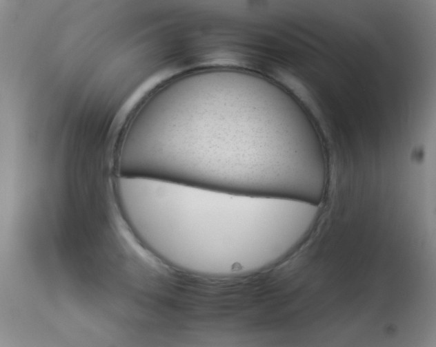 X0000113931331200909250906