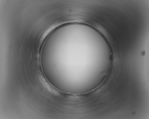 X0000113931332200909250906