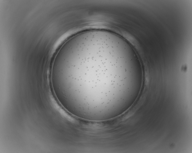 X0000113931334200909250906