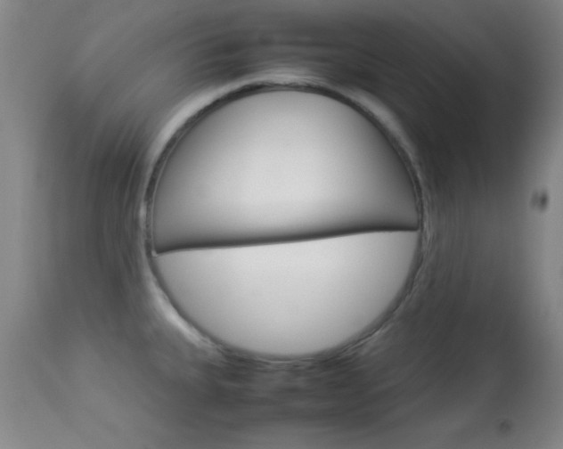 X0000113931335200909250906