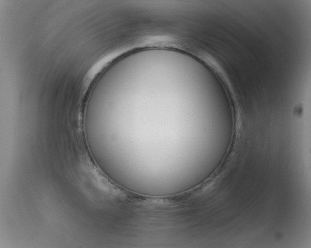 X0000113931336200909250906