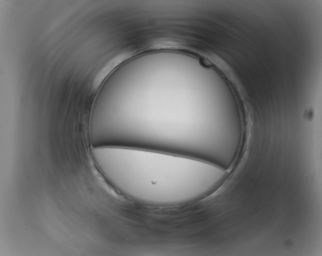 X0000113931337200909250906