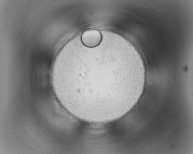 X0000113931338200909250906