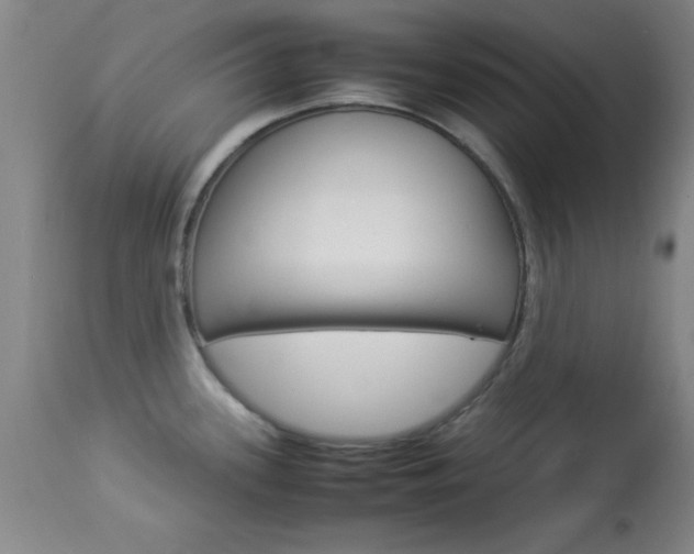 X0000113931339200909250906