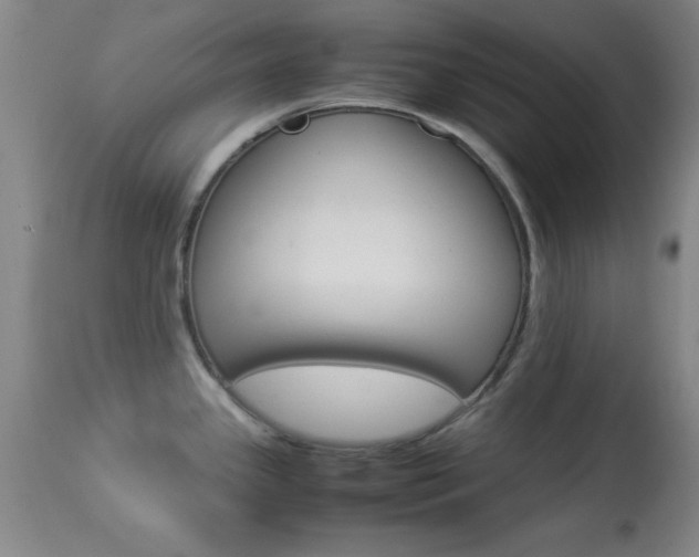 X0000113931341200909250906