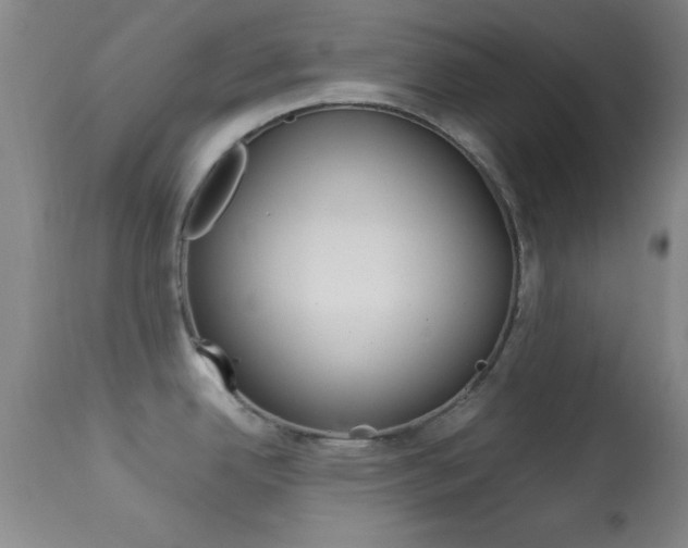 X0000113931342200909250907