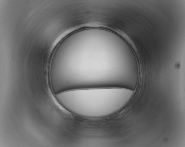 X0000113931343200909250907