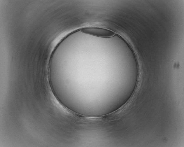 X0000113931344200909250907